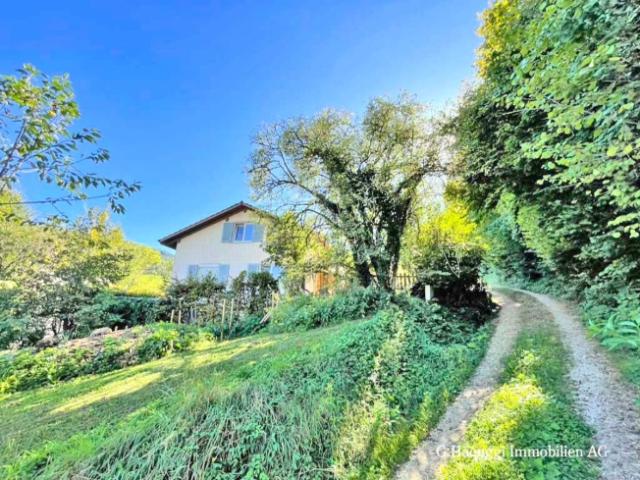 Einfamilienhaus kaufen in Wintersingen, Basel-Landschaft