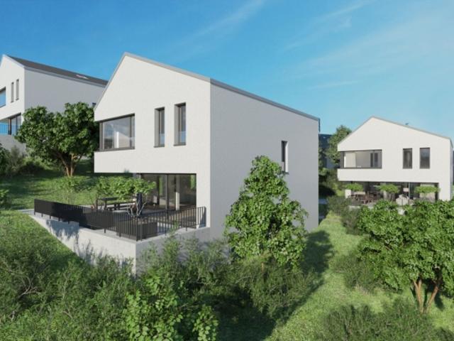 Einfamilienhaus kaufen in Blauen, Basel-Landschaft