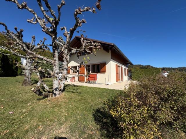 Einfamilienhaus kaufen in Saint-George, District de Nyon