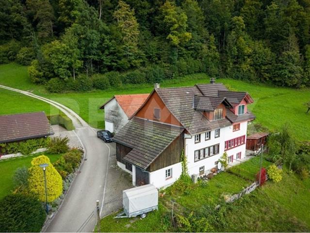 Einfamilienhaus kaufen in Bauma, Zürich