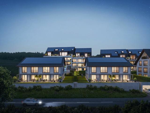 Haus kaufen in Raperswilen, Thurgau