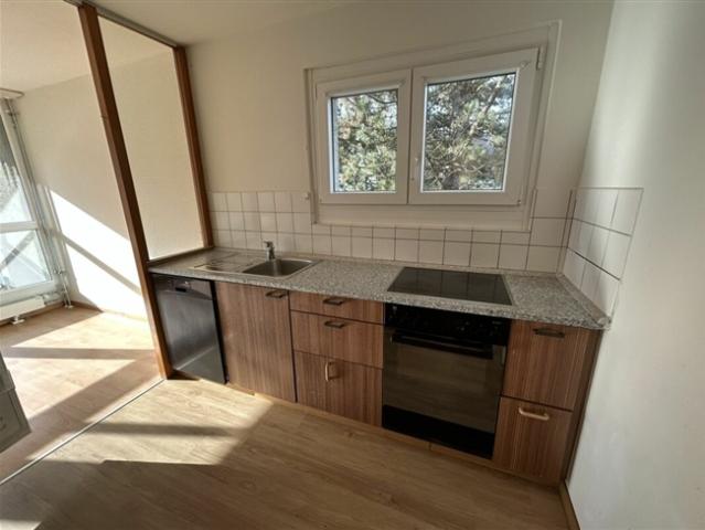 Wohnung mieten in Balsthal, Solothurn