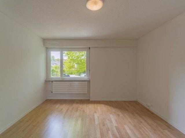 Apartment mieten in Tribschen, Luzern