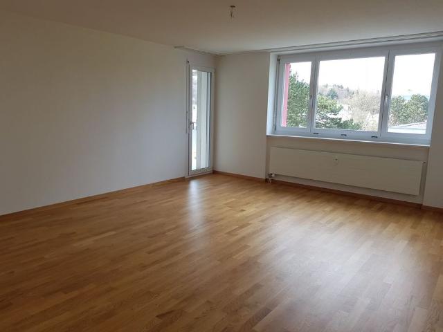 Apartment mieten in Windisch, Aargau