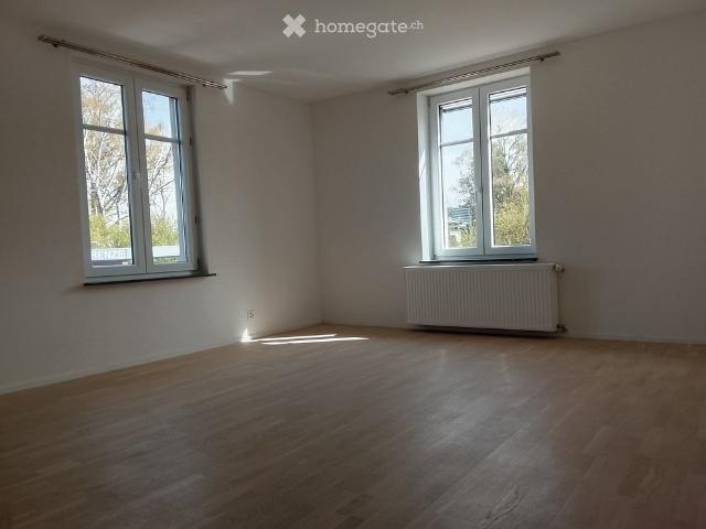 Apartment mieten in Stein am Rhein, Schaffhausen