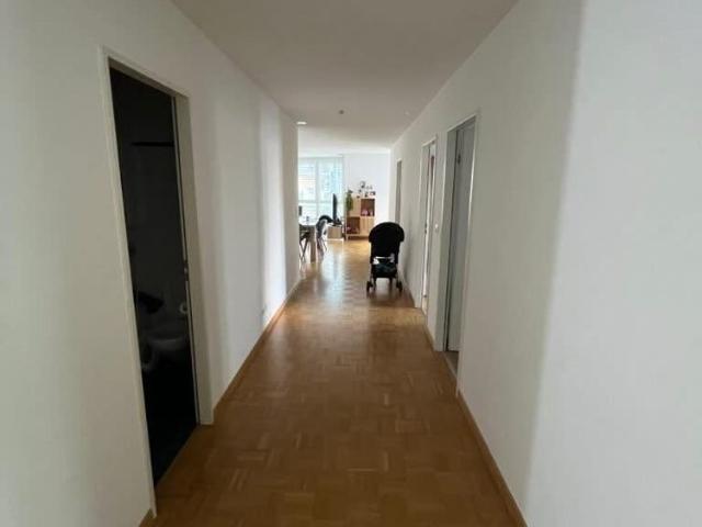 Apartment mieten in Vevey, Waadt