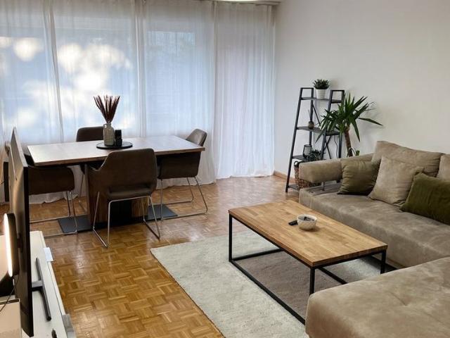 Apartment mieten in Feuerthalen, Zürich