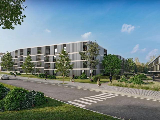 Apartment mieten in Baden, Aargau