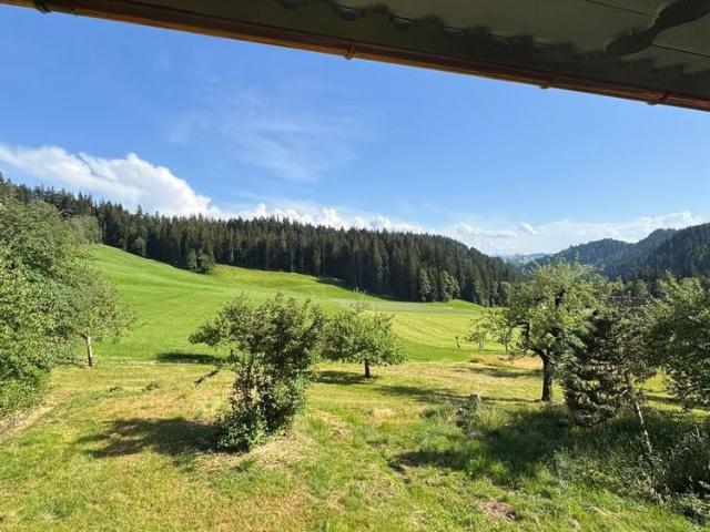 Apartment mieten in Trub, Bern