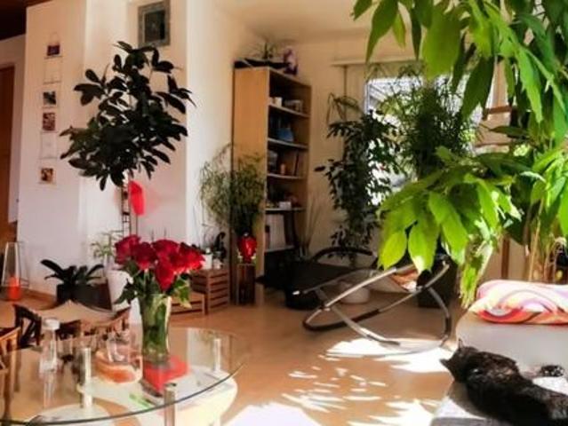Apartment mieten in Herzogenbuchsee, Verwaltungsregion Emmental-Oberaargau