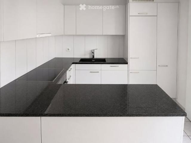Apartment mieten in Wangen bei Olten, Solothurn