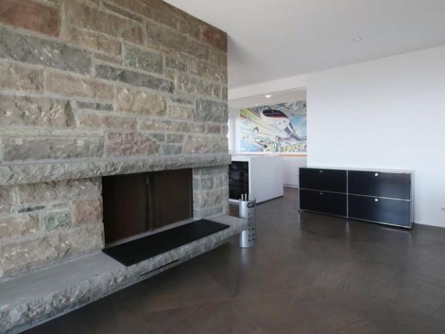 Apartment mieten in Einigen, Zürich