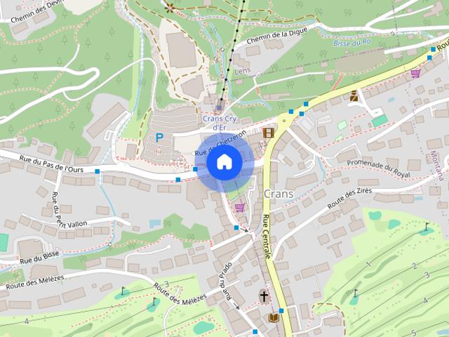 Apartment mieten in Chermignon, Crans-Montana