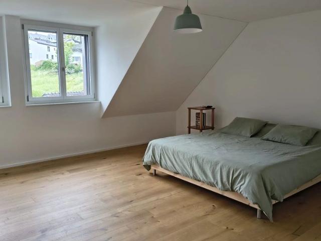 Apartment mieten in Mühlau, Aargau
