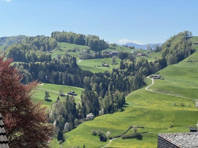 Apartment mieten in Nassen, St. Gallen