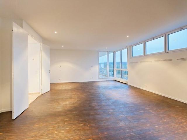 Apartment mieten in Schlieren, Zürich