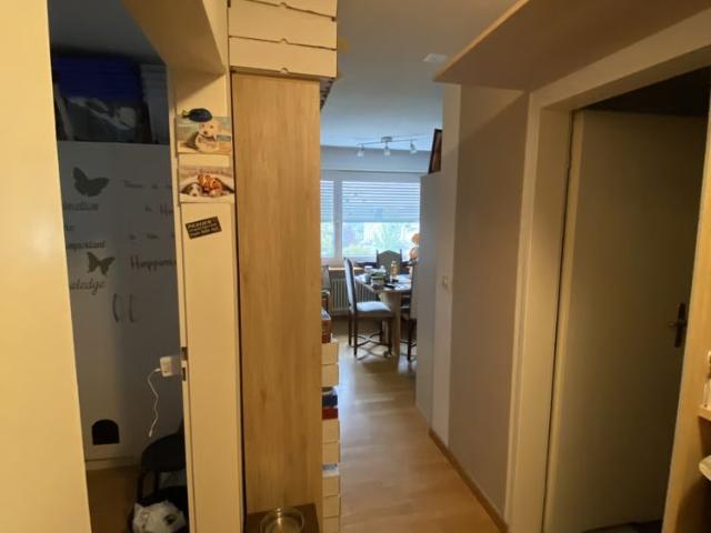 Apartment mieten in Unterwetzikon, Wetzikon (ZH)