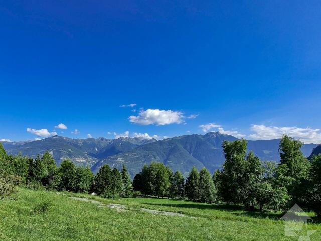 Haus kaufen in Dugny, Leytron, Wallis