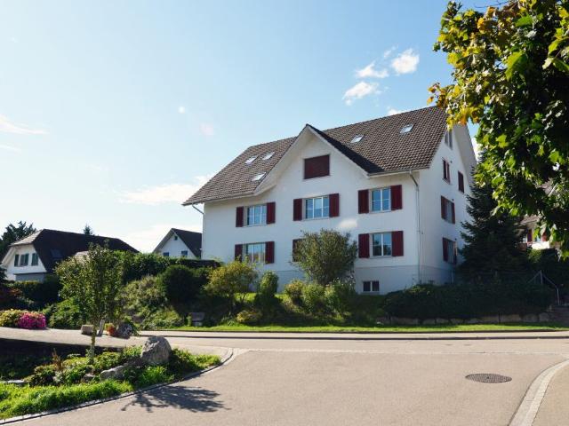 Immobilie kaufen in Steinmaur, Zürich