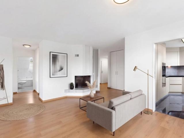 Dachwohnung kaufen in Müllheim, Bezirk Frauenfeld