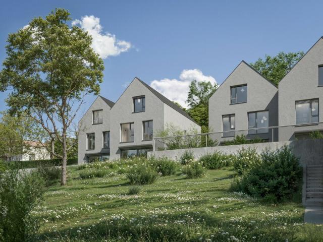 Einfamilienhaus kaufen in Biel-Benken, Bezirk Arlesheim