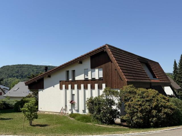 Einfamilienhaus kaufen in Seewen, Solothurn