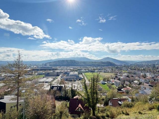 Maisonette kaufen in Trimbach, Amtei Olten-Gösgen