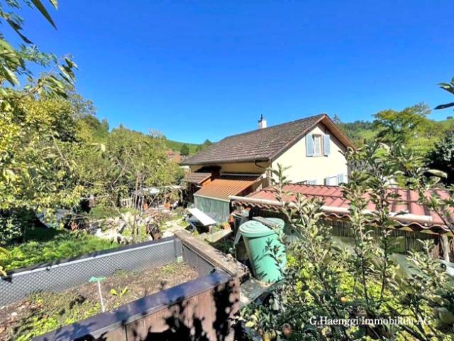 Einfamilienhaus kaufen in Wintersingen, Basel-Landschaft
