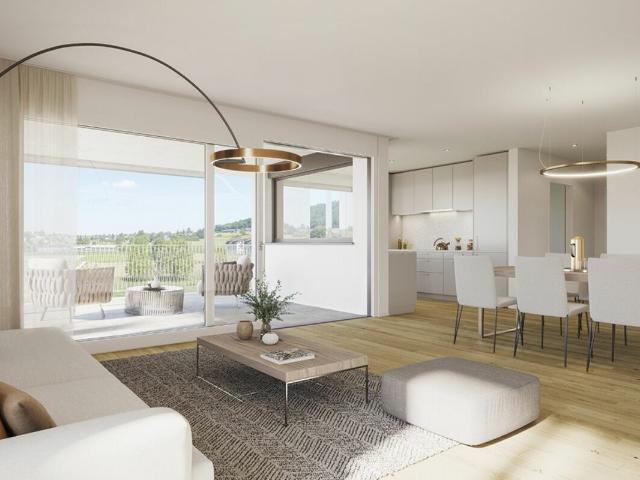 Apartment kaufen in Reinach (AG)