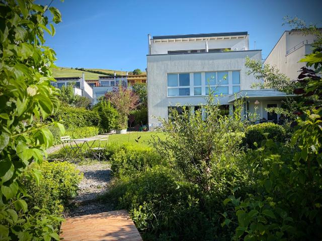 Einfamilienhaus kaufen in Eggersriet, St. Gallen