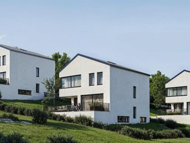 Einfamilienhaus kaufen in Blauen, Basel-Landschaft