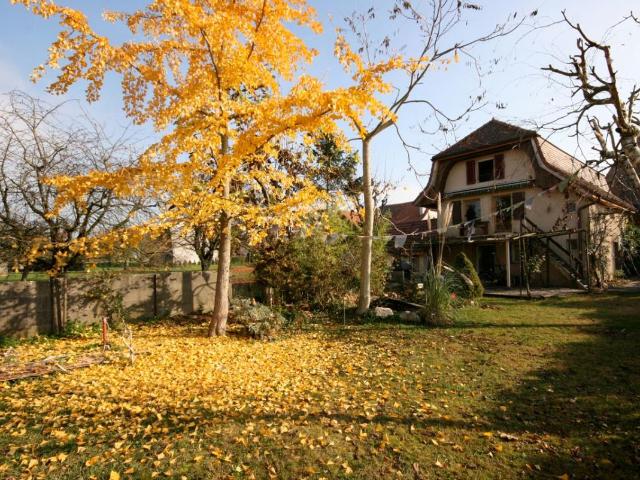 Einfamilienhaus mieten in Chevroux, Waadt