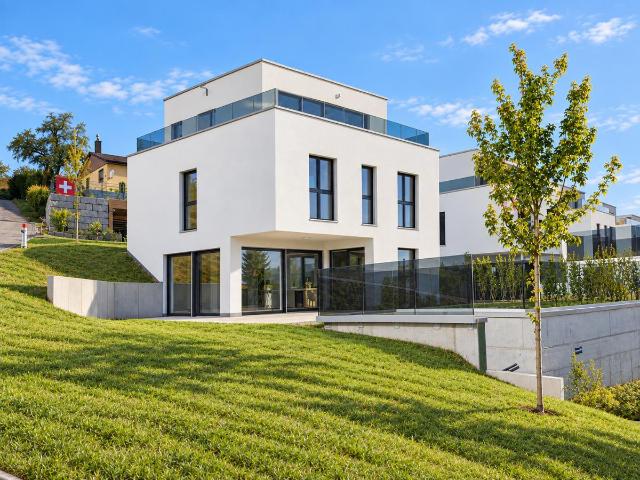 Einfamilienhaus kaufen in Hilfikon, Villmergen