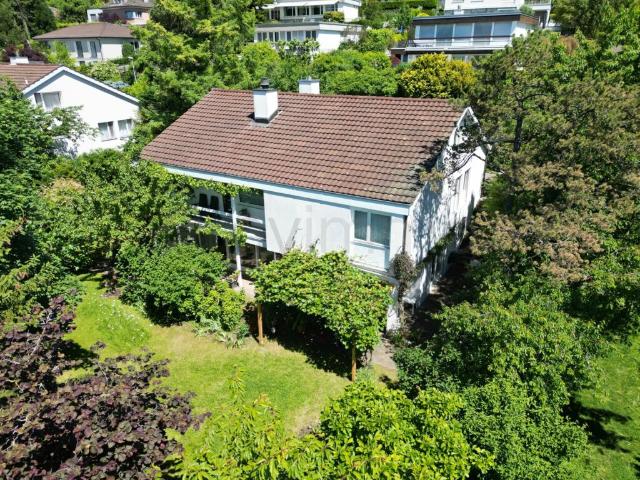 Einfamilienhaus kaufen in Oetwil an der Limmat, Zürich