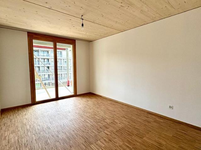 Apartment mieten in Kleinbasel, Basel