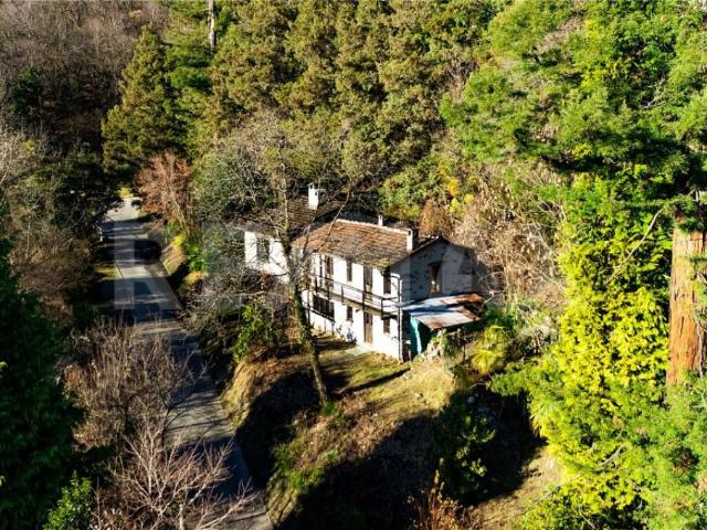 Immobilie kaufen in Tenero-Contra, Tessin