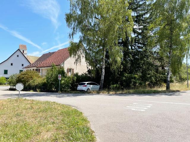 Reihenfamilienhaus kaufen in Hornussen, Aargau