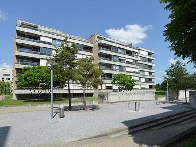 Wohnung mieten in Glattbrugg, Opfikon