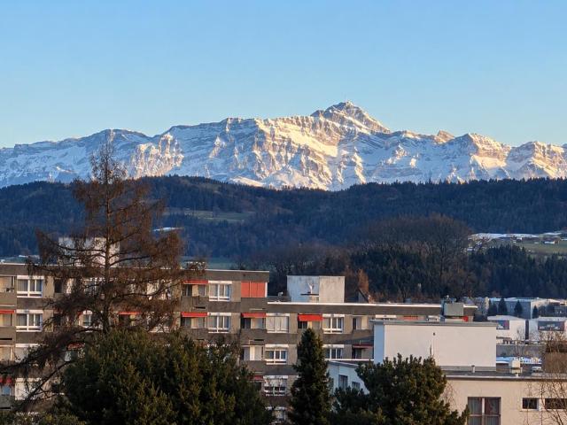 Wohnung mieten in Flurhof, Wil (SG)