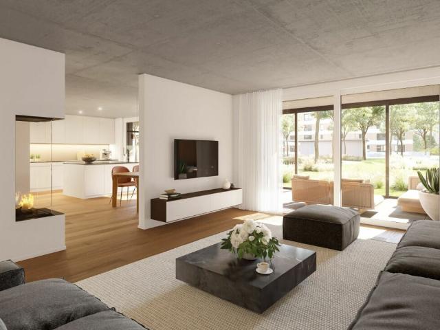 Apartment kaufen in Reinach (AG)