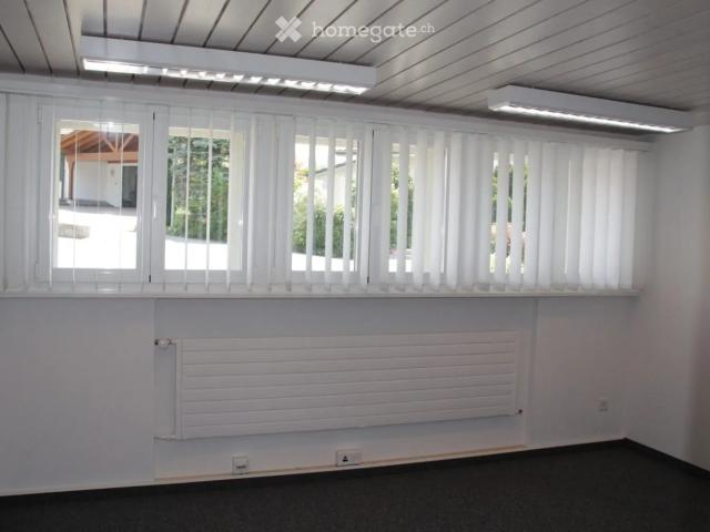 Apartment mieten in Hohbühl, Elgg