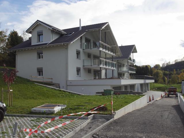 Wohnung mieten in Seelisberg, Uri