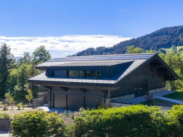 Wohnung kaufen in Ollon (VS), Waadt