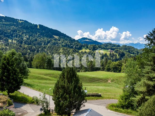 Wohnung kaufen in Châtel-Saint-Denis, Freiburg