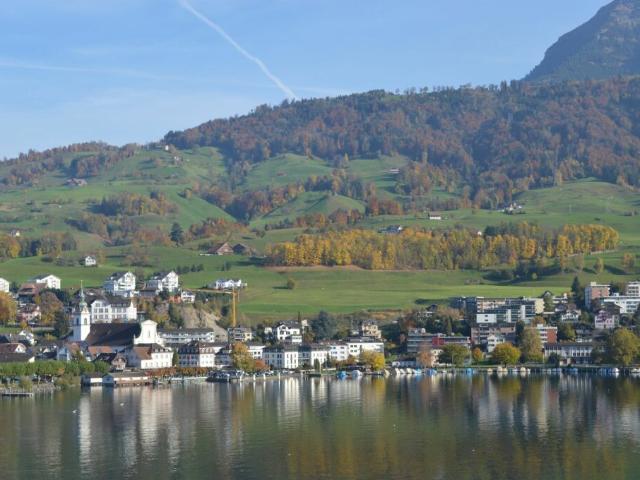Wohnung mieten in Küssnacht am Rigi, Schwyz