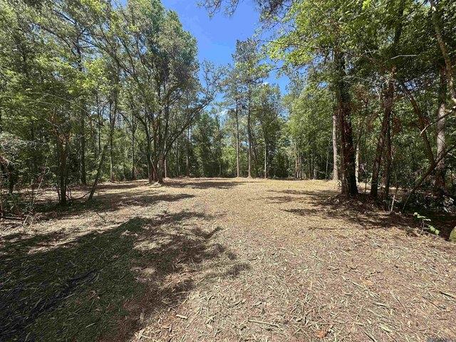 Land for sale in Robert, Tangipahoa Parish