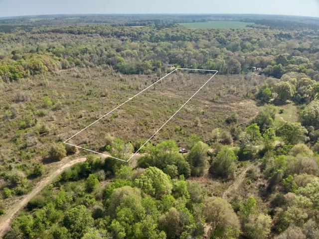 Land for sale in Geneva, Alabama