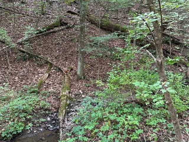 Land for sale in Bedford, Pennsylvania