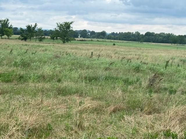 Land for sale in Ark