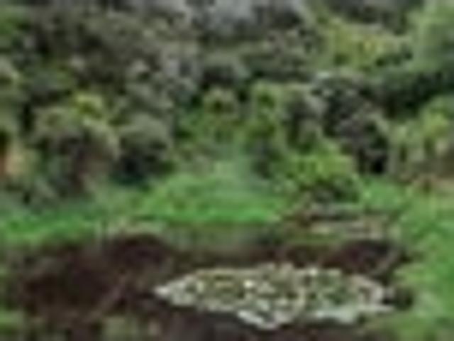 Land for sale in Ohope Beach, Bay Of Plenty